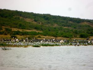 lets go camp on the lakeside views